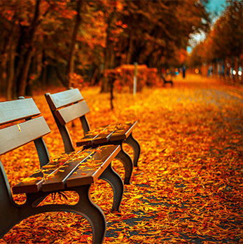 渠道价格直供的呼死你软件下载