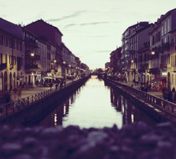 网页版手机号攻击